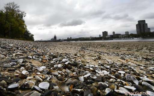 Record Low Rhine Water Levels Disrupt German Shipping and Environment