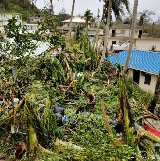 Typhoon Devastates Northern Mariana Islands: Emergency Declared, Flights Grounded