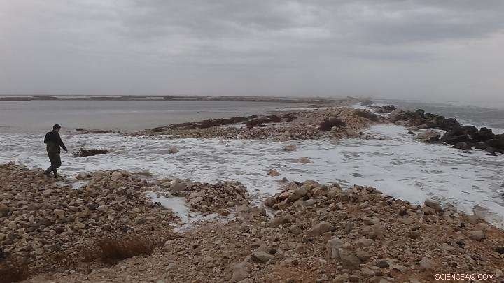 Groundbreaking Study Reveals Climate Change Effects on Mediterranean Ecosystems