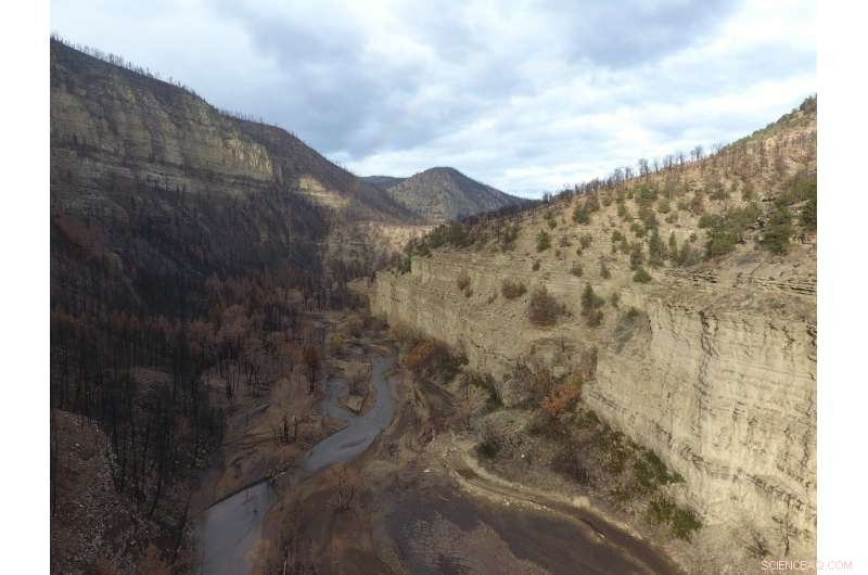 Beyond 1984: The Hidden Wildfire Threat to Water Security