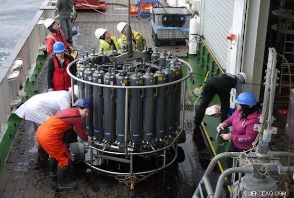 Shelf Seas Play a Crucial Role in Carbon Removal, Storage, and Nutrient Cycling—New Study Reveals Findings