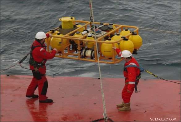 Shelf Seas Play a Crucial Role in Carbon Removal, Storage, and Nutrient Cycling—New Study Reveals Findings