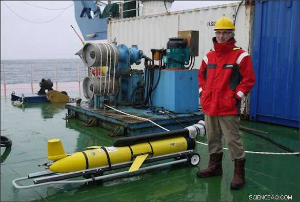 Shelf Seas Play a Crucial Role in Carbon Removal, Storage, and Nutrient Cycling—New Study Reveals Findings