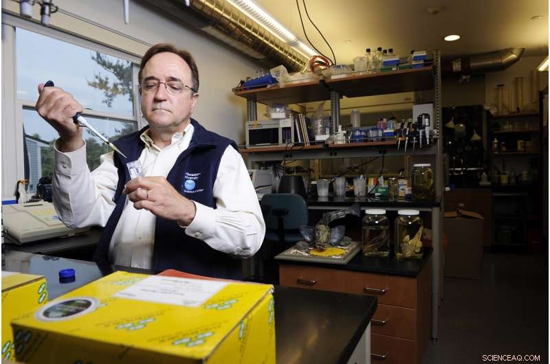 Why Antarctica s Cold-Adapted Fish Are Losing Their Edge