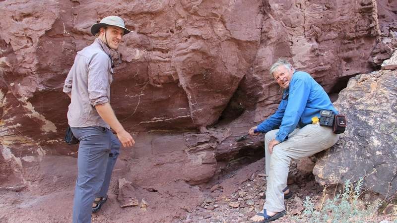 New Rodinia Dataset Offers Clarity on Supercontinent s Past Configuration