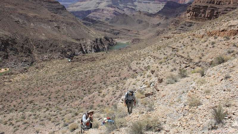 New Rodinia Dataset Offers Clarity on Supercontinent s Past Configuration