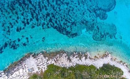 Insurance-Based Strategy Aims to Protect Earth s Coral Reefs