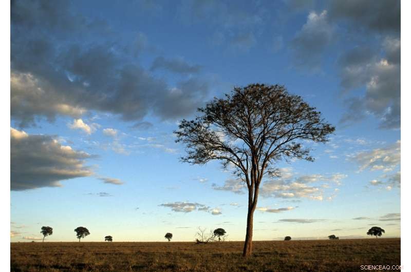 WWF Living Planet Report 2018: Human Impact Accelerates Nature s Decline