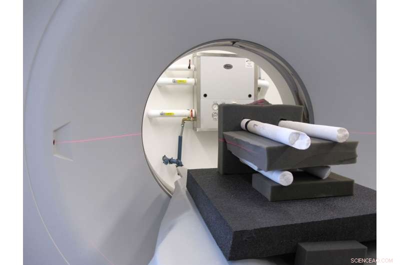 Century-Long Study Reveals Severe Bleaching Patterns on Pacific Coral Reef