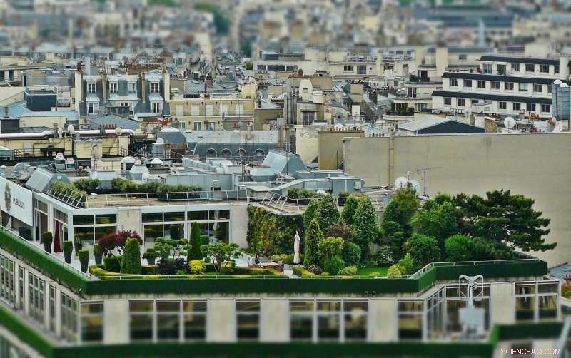 Urban Greening: Balancing Environmental Benefits with Risks of Gentrification and Displacement