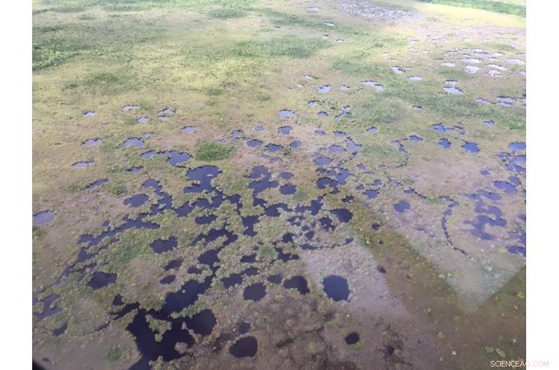 Boosting Freshwater Flow Urgently Needed to Halt Everglades Peat Soil Collapse