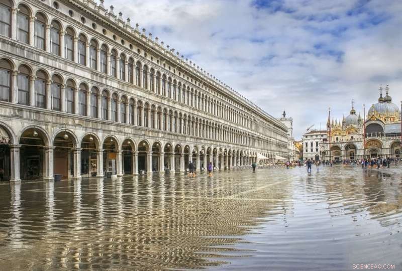 Venice Floods Spotlight Rising Threats to Global Cities