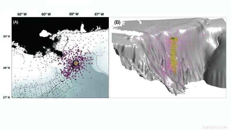 Deepwater Horizon Oil Spill: Study Shows Chemical Dispersants Fail to Mitigate Environmental Impact