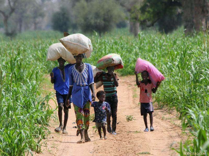 Is Organic Agriculture the Key to Africa s Sustainable Development?