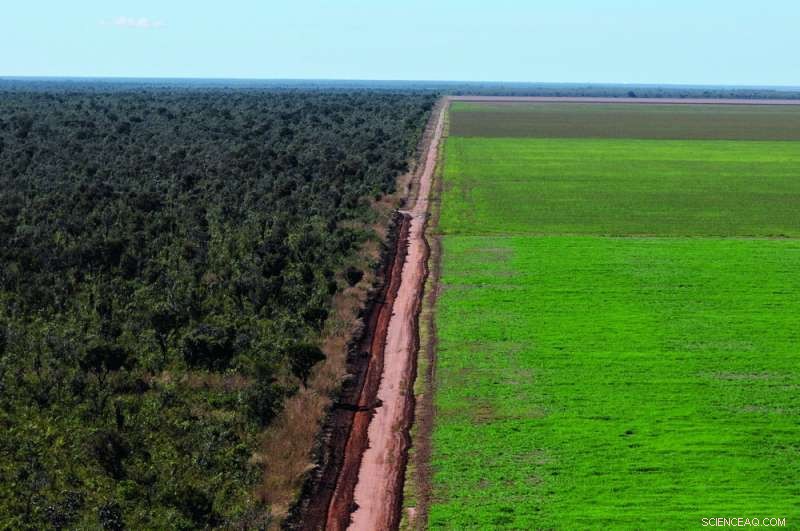 Nature s Urgent Call: Why We Can No Longer Ignore Its SOS