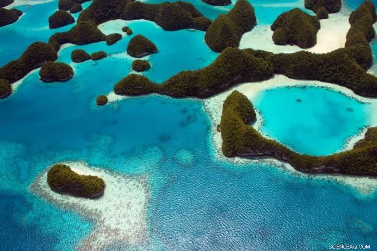 Palau Set to Ban Sunscreen Chemicals to Protect Coral Reefs