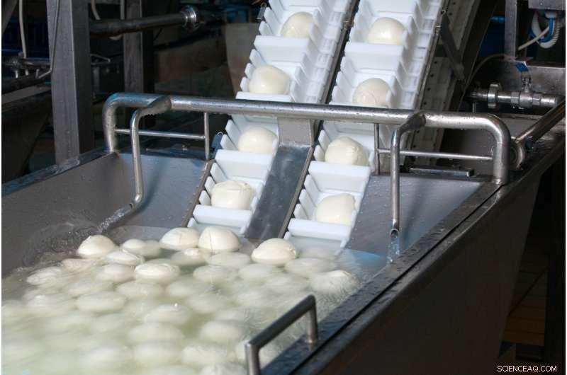 Transform Food Waste into Healthier Soil: A Sustainable Solution