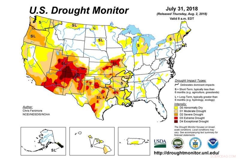 Transform Food Waste into Healthier Soil: A Sustainable Solution