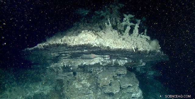 Scientists Chart New Hydrothermal Vents in the Gulf of California
