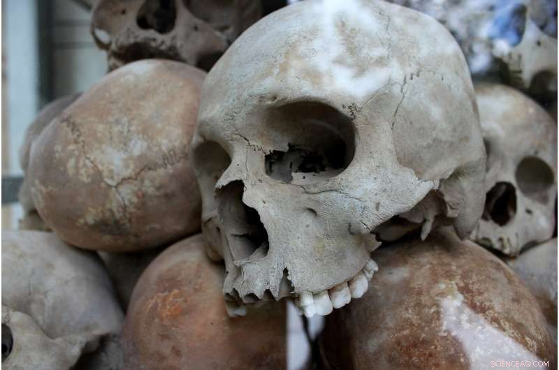 Ground‑Penetrating Radar Identifies Potential Holocaust Mass Grave Sites in Lithuania