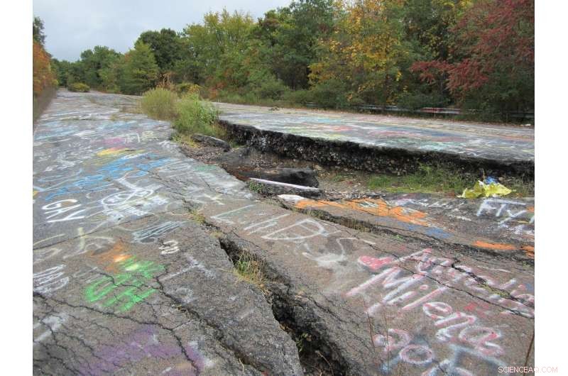 Small-Genome Organisms Thrive in Hot Soils—Implications for a Warming Planet