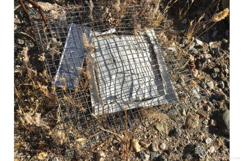 Heat Stress Threatens Microbes that Recycle Nutrients