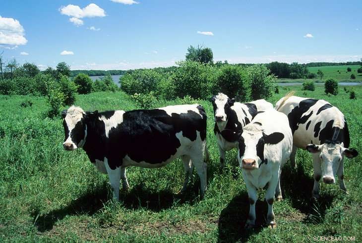 Overcoming Barriers to Sustainable Animal Agriculture in Western Pennsylvania