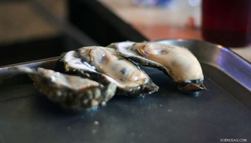 The Threat of Hurricanes and Water Conflicts to the Gulf Coast s Premium Oyster Industry