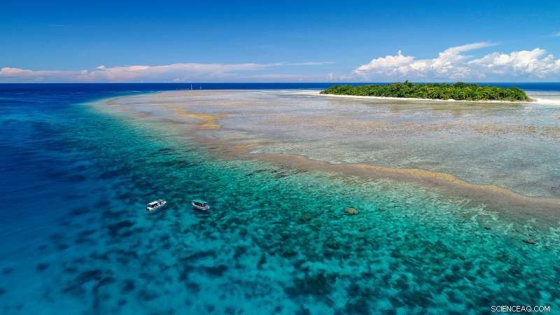 Urgent Shift Needed in Tropical Marine Conservation as Coral Reefs Decline