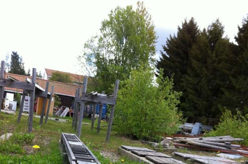 Olive Oil and Fungal Treatments Safeguard Wood Against Rot