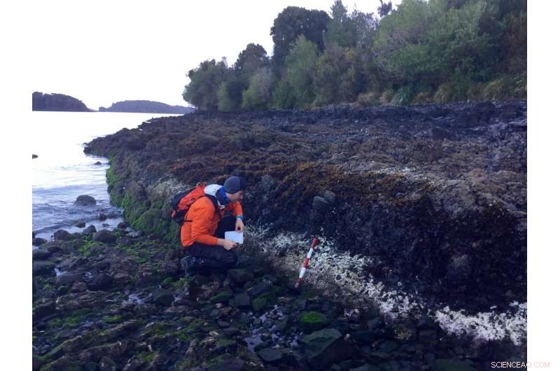 Bleached Algae Stripe Reveals 2016 Chile Earthquake Coastal Uplift