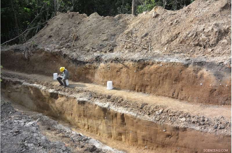 New Madrid Seismic Cluster Revealed: USGS Study Maps Historic Earthquake Activity