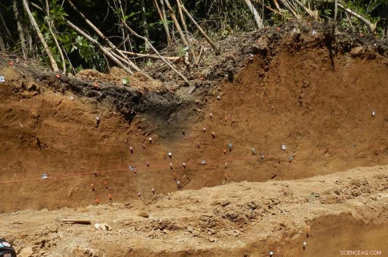 New Madrid Seismic Cluster Revealed: USGS Study Maps Historic Earthquake Activity