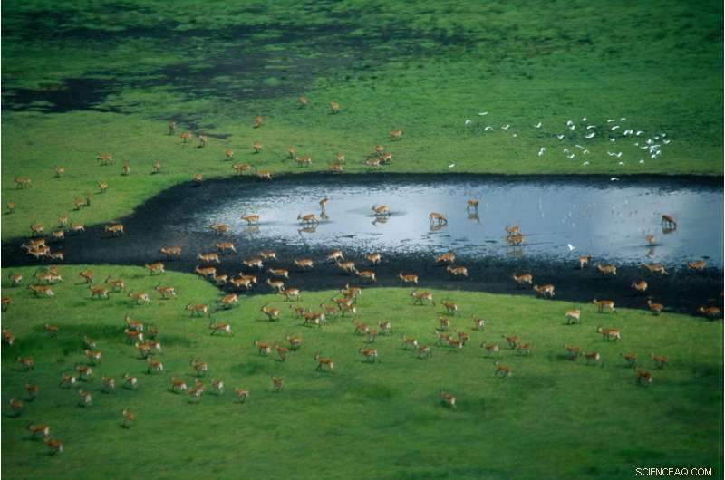 Escalating Water Risks on Kafue River Threaten Zambia s Development