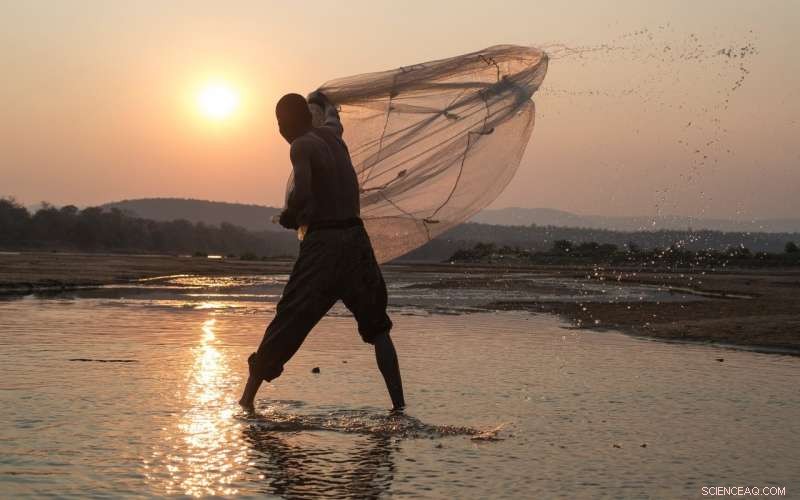 Escalating Water Risks on Kafue River Threaten Zambia s Development