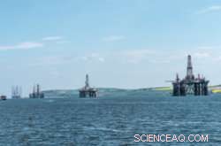 Oil and Gas Rigs May Protect Corals, Study Finds