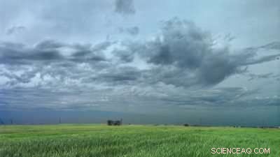 Enhancing Climate Forecasts with Integrated Land‑Atmosphere Interactions