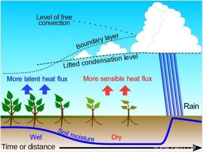 Enhancing Climate Forecasts with Integrated Land‑Atmosphere Interactions