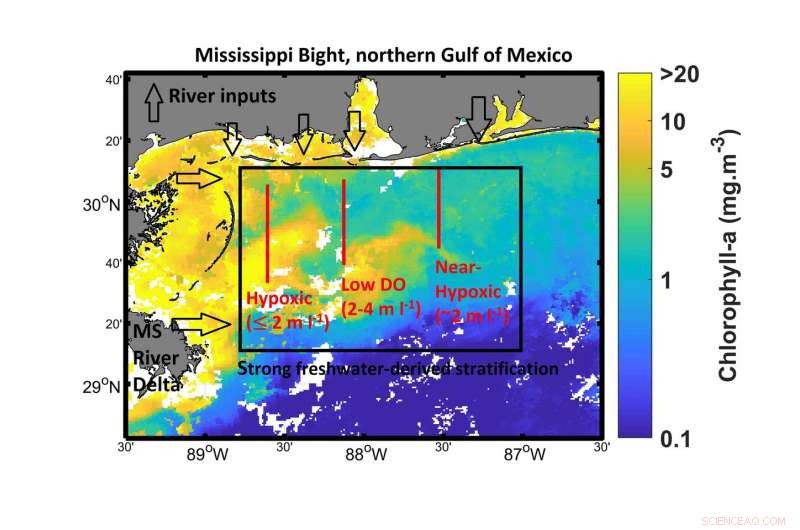 Key Factors Driving Hypoxia in the Mississippi Bight