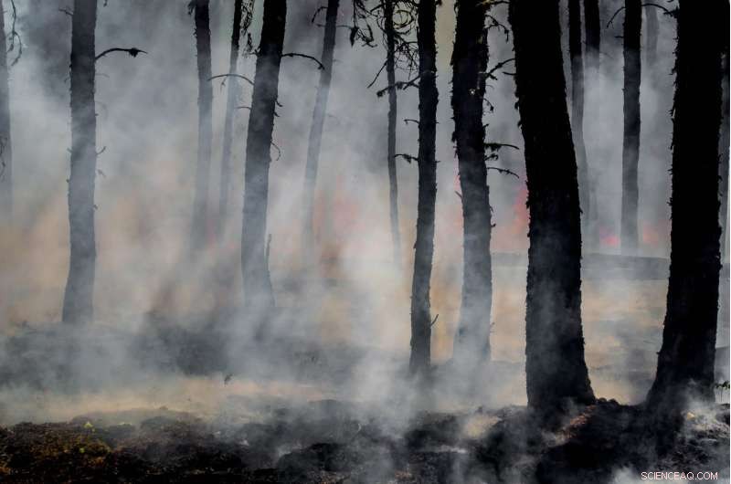 Wealth Tax: Holding High‑Income Nations Accountable for Climate Damage