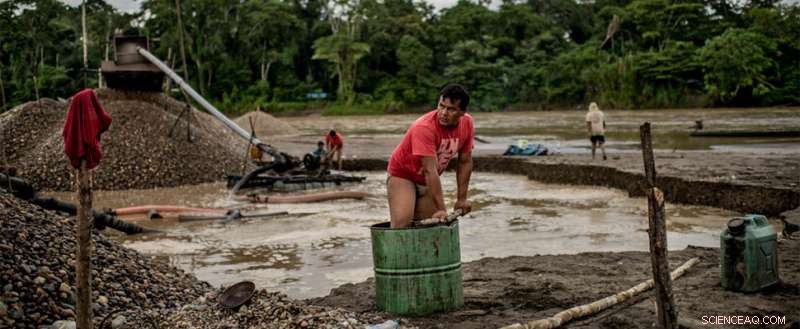 Peru s Amazon Rainforest Faces Record Gold-Mining Destruction