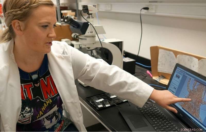 Invertebrates as Reliable Indicators of Reclaimed Soil Health