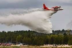 EU Researchers Unveil Instant Foam Technology to Combat Forest Fires