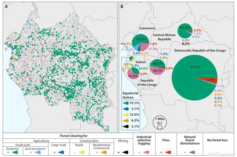 Smallholder Clearing Drives Major Forest Loss in the Congo Basin