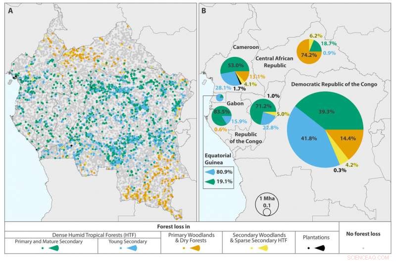 Smallholder Clearing Drives Major Forest Loss in the Congo Basin