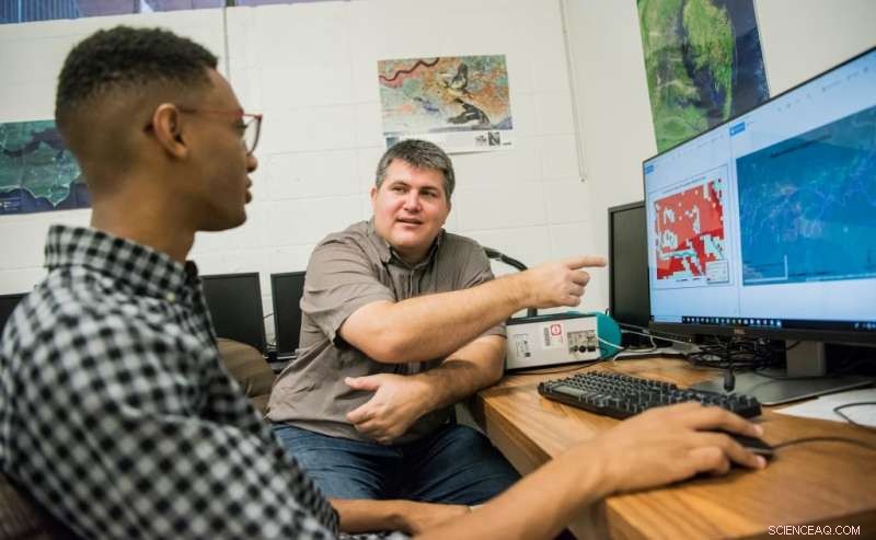 New Research Highlights the Need for Long-Term Planning in Global Reforestation Efforts