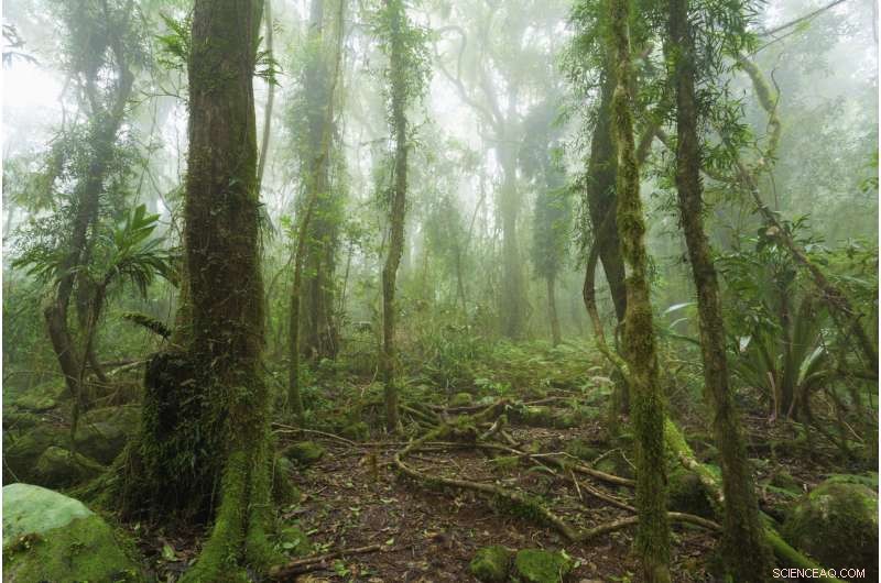 Queensland s Ecosystems at Risk: Climate Change Threatens Unrecognisable Futures – How We Can Act
