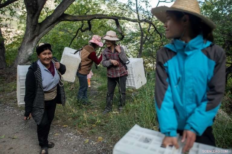 A Himalayan Vineyard: Premium Wine From China s Alpine Frontiers