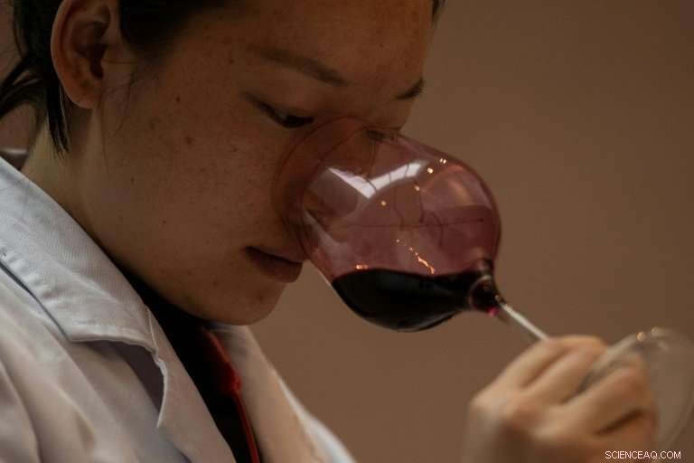 A Himalayan Vineyard: Premium Wine From China s Alpine Frontiers