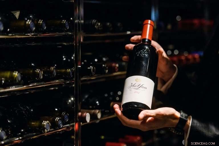 A Himalayan Vineyard: Premium Wine From China s Alpine Frontiers